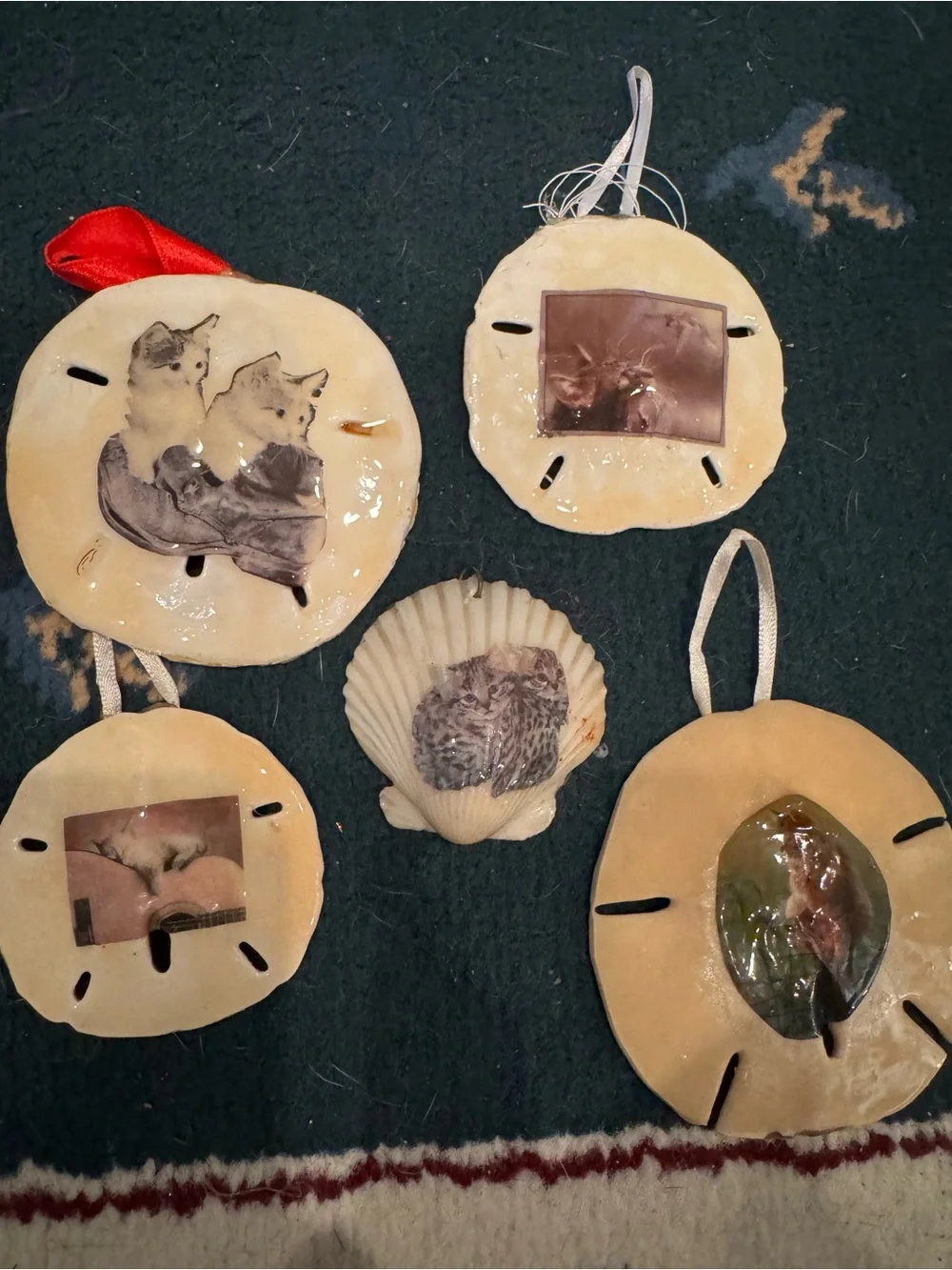 Handcrafted Cream real Sand Dollar Ornaments with Photo Inlay - Set of 4